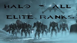 Halo - All Elite / Sangheili Ranks