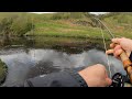 fly fishing for wild brown trout with dry flies | Northumberland