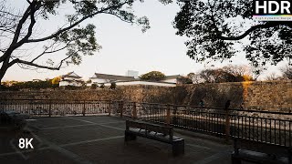 【8K HDR】Walking through Osaka Castle ASMR IMMERSED by City Odyssey 24 views 9 months ago 18 minutes
