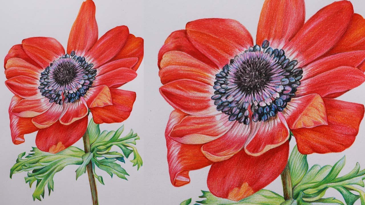 Original Oil Pastel Flower Drawing - Etsy