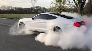 INSANE MUSTANG BURNOUT by Sachin Khatri 76 views 5 years ago 21 seconds