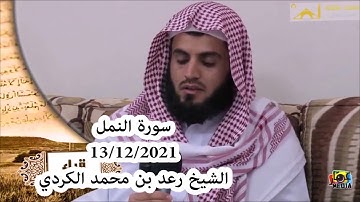 Surah al naml(15-31)2021 with Translations | Sheikh Raad al kurdi سورة النمل | الشيخ رعد الكردي