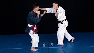 Tai Sabaki - Nihon Tai Jitsu avec Richard Folny