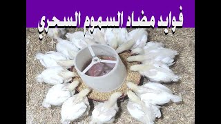 فوايد مضاد السموم وخلطة  عمر 21  يوم