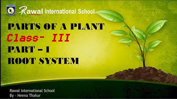 Class-III, Subject-Science, Topic- Parts Of A Plant (Root System) Part-1, Rawal International School