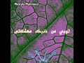 تولى من ذنبك مهلكتى انشودة بصوت رائع 