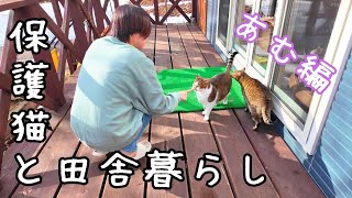 Pheasant White Amu/Dog, Cat, and Country Life/Squirrel-chan and Tori-chan by 犬と猫と小さな家   Country Life in Hokkaido 2,748 views 2 months ago 11 minutes, 42 seconds