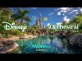 🏝️ disney orchestral at the tropical moana castle 🌊 fresh symphony for summer study &amp; focus ✨