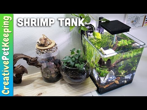 HOW TO: Nano Shrimp Tank REDO [5 gallon]
