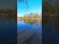 ⛵🤗 Для меня увидеть далматинца это как встретить знаменитость...