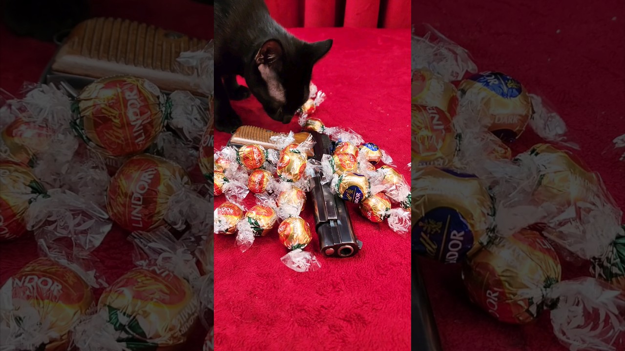 Swiss Military SIG P49 9x19mm P210