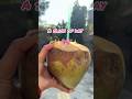 Slice of Day | Mini vlog | #minivlog #shorts #ytshorts #youtubeshorts #reels #trending #song #share
