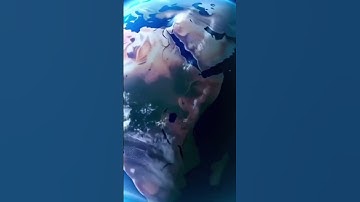تلاوة تقشعر لها الأبدان بصوت عبدالله احمد شعبان #عبدالله_أحمد_شعبان #قرآن #القرآن_الكريم