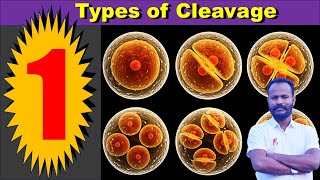 Types of Cleavage in Animal kingdom : By Anand sir