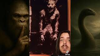 Mysterious TikToks (#6): Cryptids