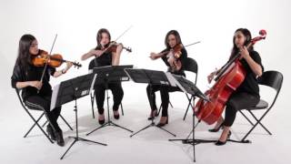 Celebrity Applause - Lady Gaga - String Quartet (cover) Profile
