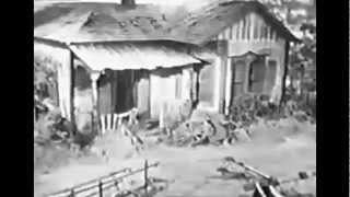 Green Acres.- Hickoids