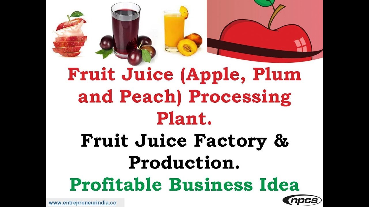 Fruit Juice (Apple, Plum and Peach) Processing Plant.