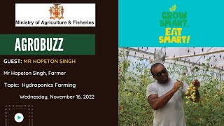 AgroBuzz: Hydroponics Farmer, Hopeton Singh, shares his experience