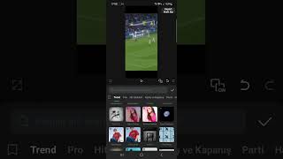 Artık Sal Beni Yaptım