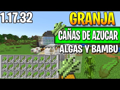 Video: Algas De Azúcar