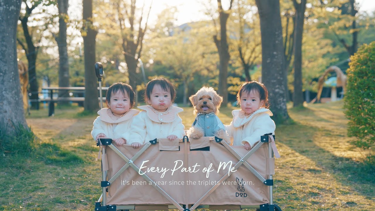 三つ子が生まれて1年が経ちました | Every Part of Me - YouTube