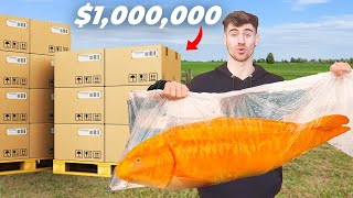 $1,000,000 Koi Unboxing! (World Record)