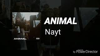 ANIMAL - Nayt