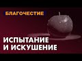 ИСПЫТАНИЕ И ИСКУШЕНИЕ - Вячеслав Бойнецкий