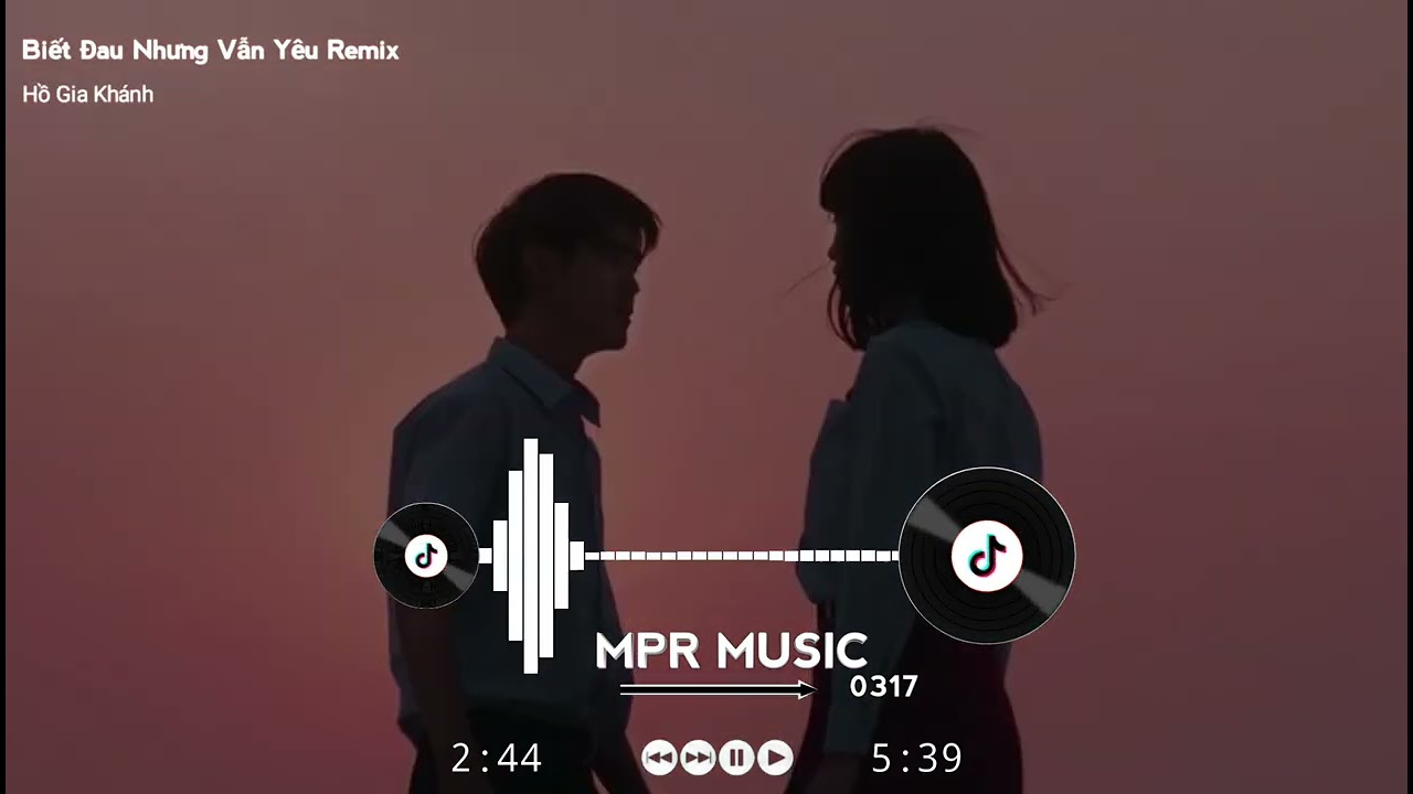 Biết Đau Nhưng Vẫn Yêu Remix - DJ TGP X Hồ Gia Khánh | Nhạc Hot Tik Tok 2022
