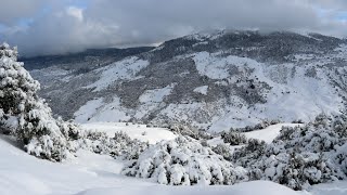 جبال الأطلس تحت رحمة الثلوج .خنيفرة،المملكة المغربية.