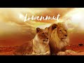 SEOM - LÖWENMUT (Offizielles Video) Mp3 Song