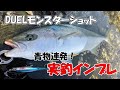 青物入れ食い。DUELハードコアモンスターショットの使い方・実釣インプレ