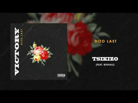 Dizo Last Tsikizo Ft Bushali Audio 