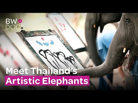 ELEPHANTS IN MOTION