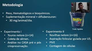 Segurança Do Tratamento Com Diflubenzuron Em Touros E Doadoras Bovinas.