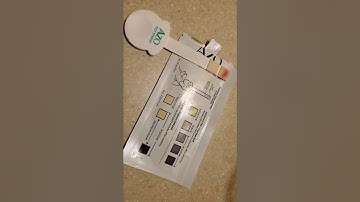 AZO Urinary Tract Infection At-Home Testing #athometesting #azo #urinescreen
