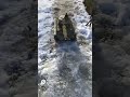 RC King Tiger tank 1/16 in snow
