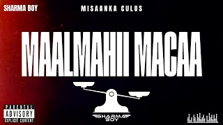 Sharma Boy - Maalmihii Macaa (Official Audio)