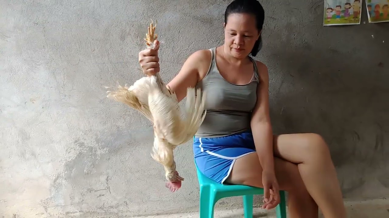 Chicken Dislocated Cervicales Unedited YouTube