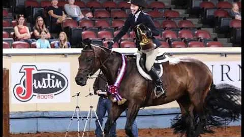 A Judge's Perspective: 2018 AQHYA Equitation Over ...
