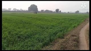 Kitna Sona des h Mera songs