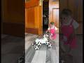 Baby Monkey Moon Is Curious About The Robot Dog #monkey #babymonkey #robot #animals #pet
