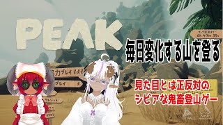PEAK　ピーク　もこちと過酷登山、登り切る覚悟完了　#おじのまとん