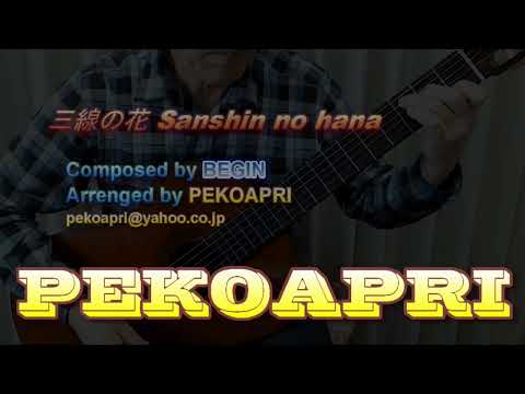 三線の花Sanshin no hana(クラシックギター)