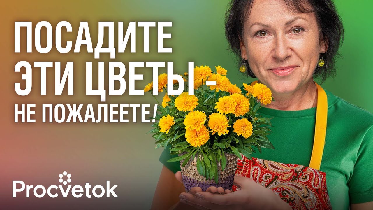 10 САМЫХ КРАСИВЫХ МНОГОЛЕТНИКОВ, от которых я никогда не откажусь!