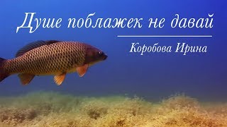 "Душе поблажек не давай" - видео стихотворение Ирины Коробовой