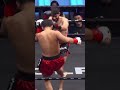 🎯 The Price of Victory. Kunlun Fight. Remember? 🥊