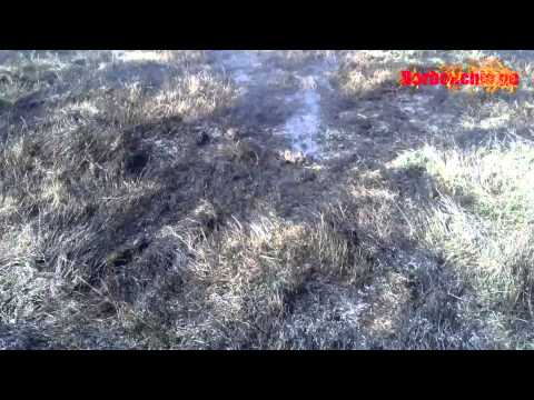 ბალახის  წვა