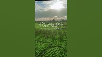 القران الكريم #القرآن_الكريم #المصحف #الرحمن #اكسبلور